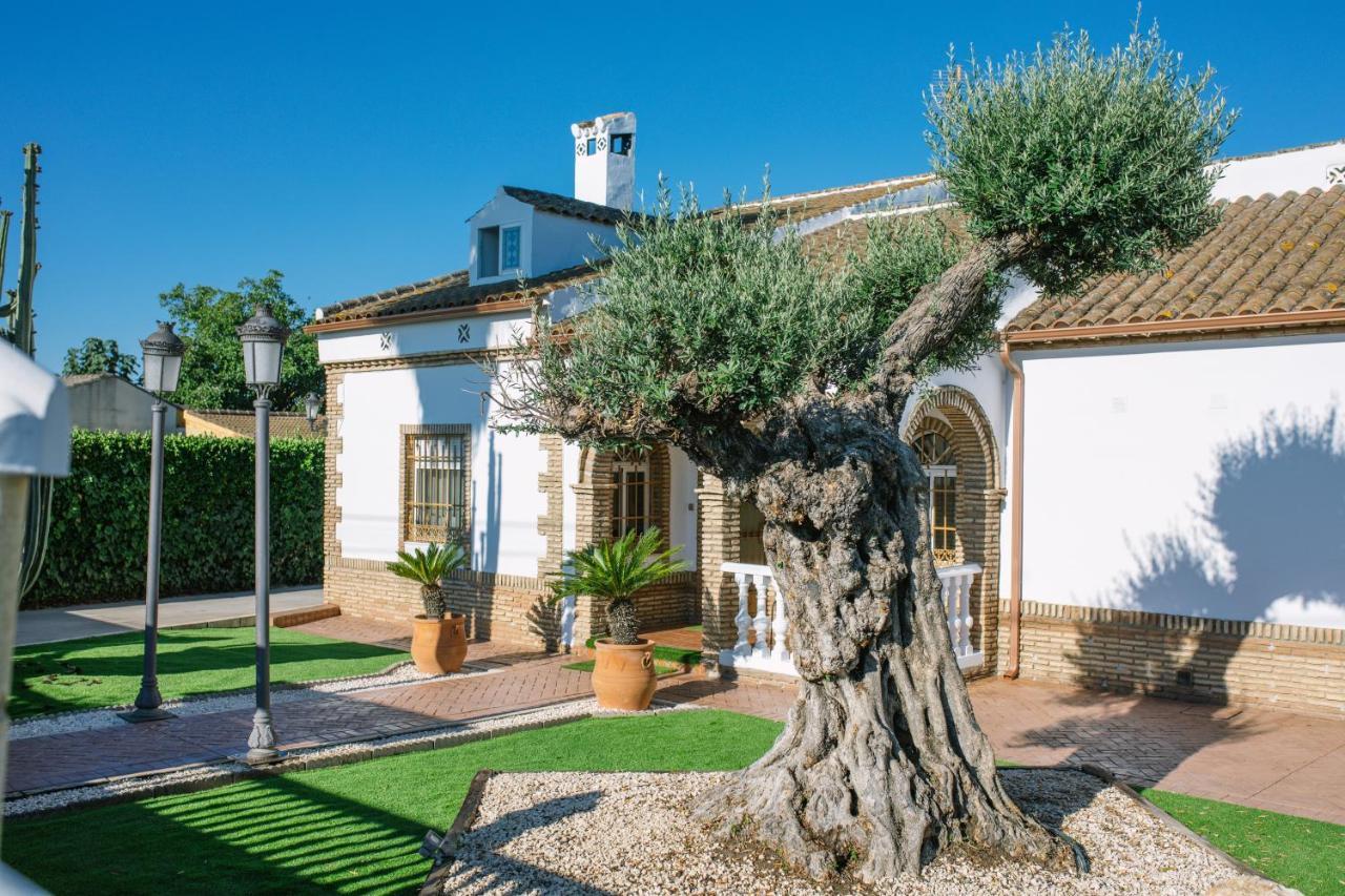 Casa Luxury "El Olivo De Cordoba" Con Jacuzzi Y Parking Privado Guest House ภายนอก รูปภาพ