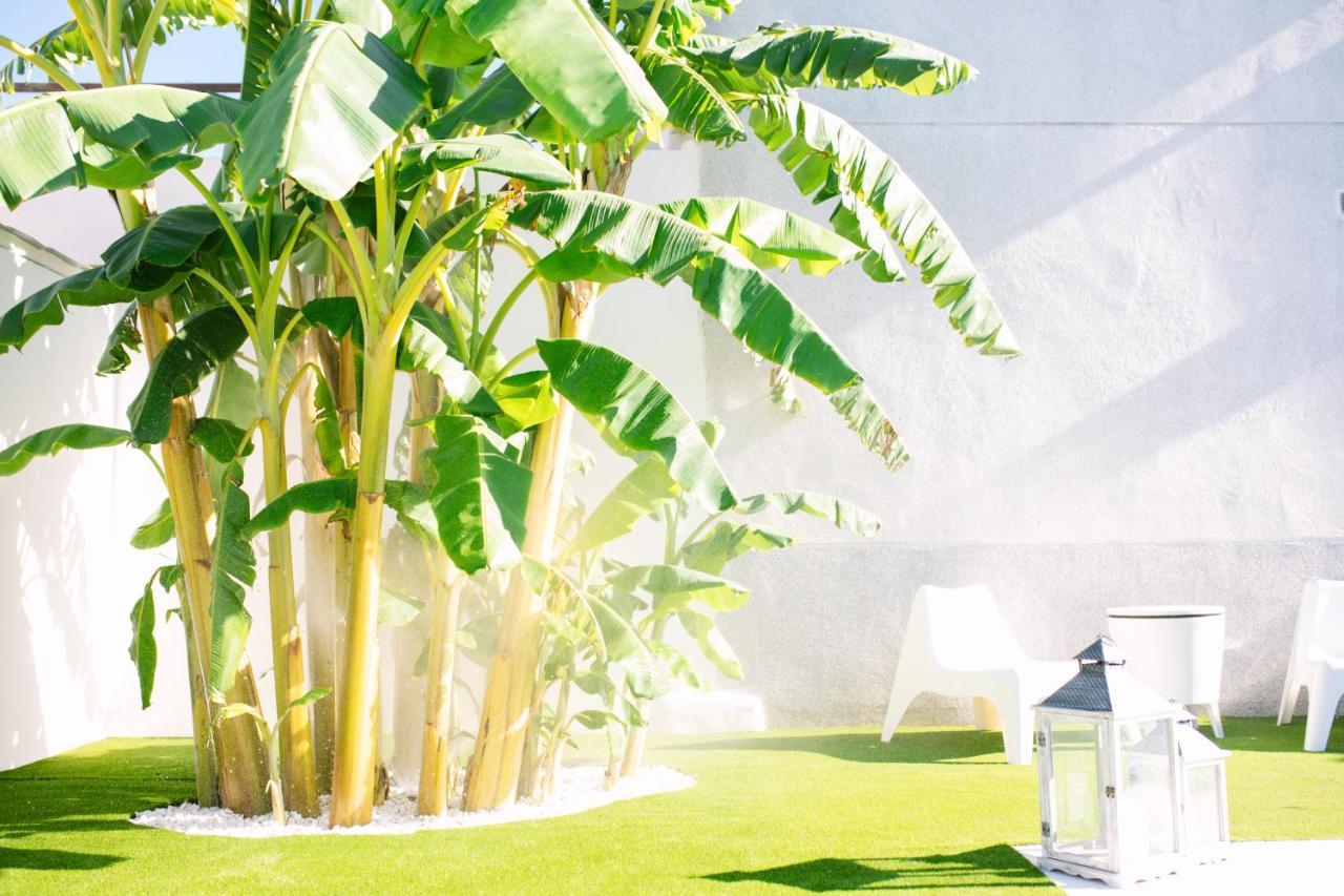 Casa Luxury "El Olivo De Cordoba" Con Jacuzzi Y Parking Privado Guest House ภายนอก รูปภาพ